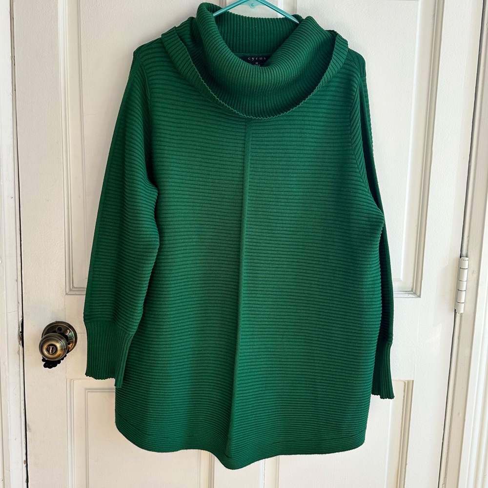 Oversized green turtleneck
